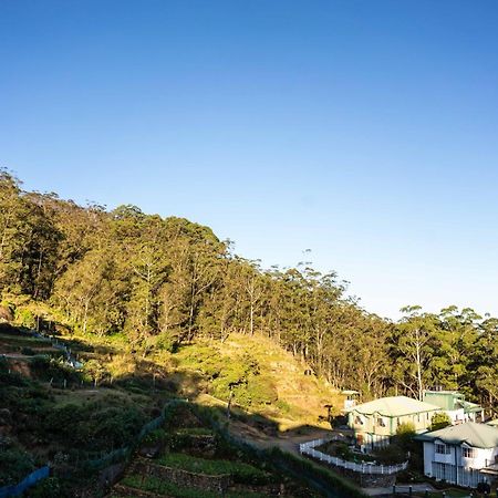 Forest View Lodge Nuwara Eliya Buitenkant foto