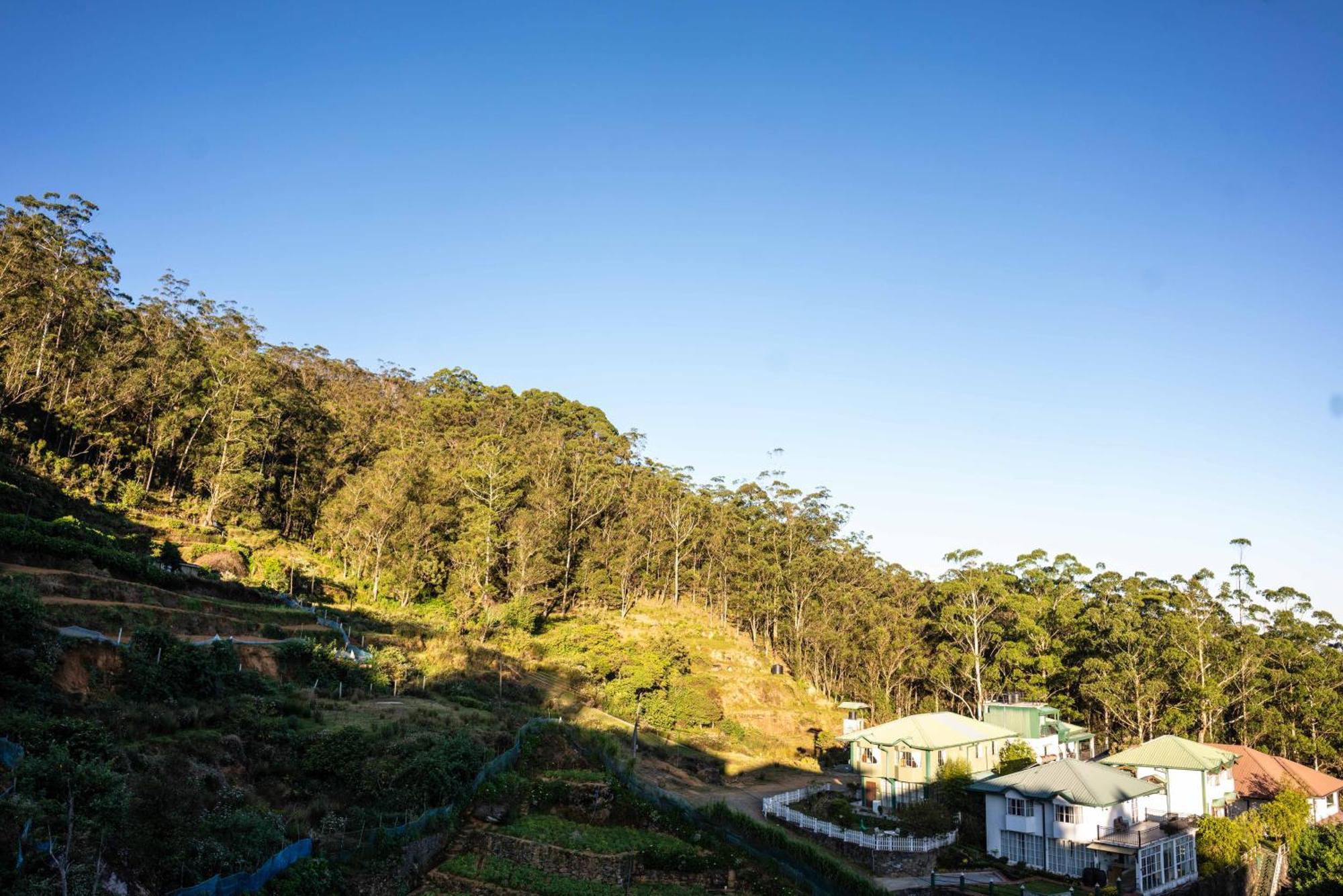 Forest View Lodge Nuwara Eliya Buitenkant foto